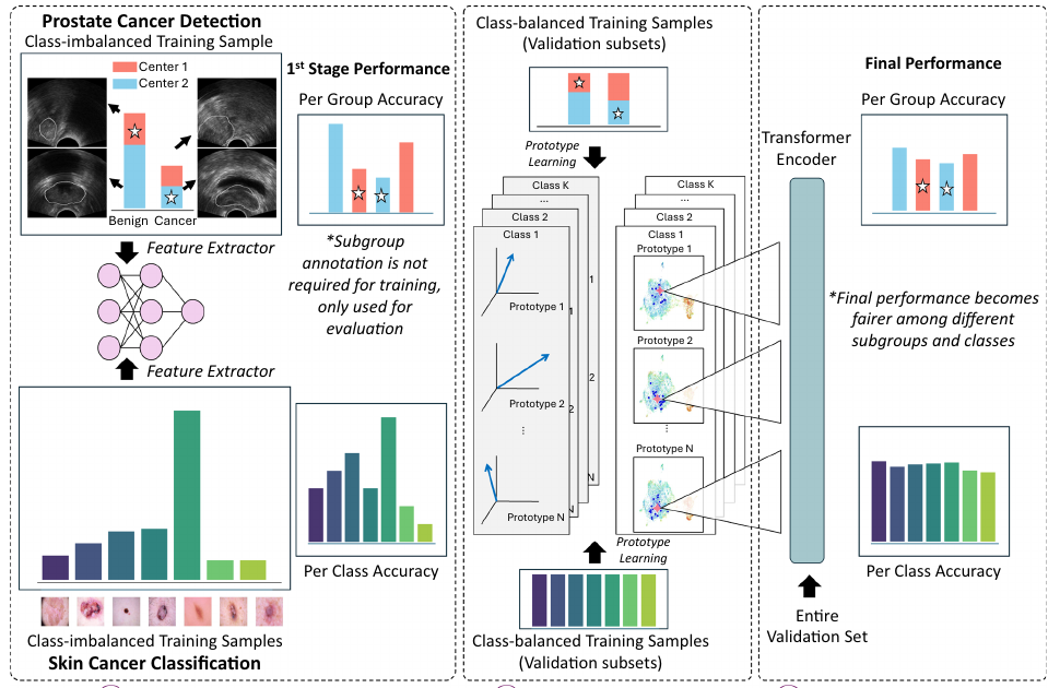 DPE-Former framework for robust medical classification