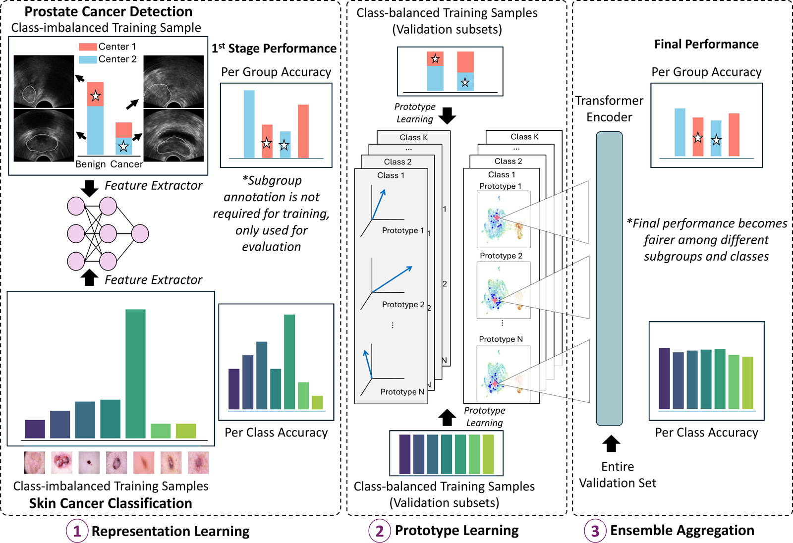 DPE-Former framework: representation learning, prototype learning, and ensemble aggregation