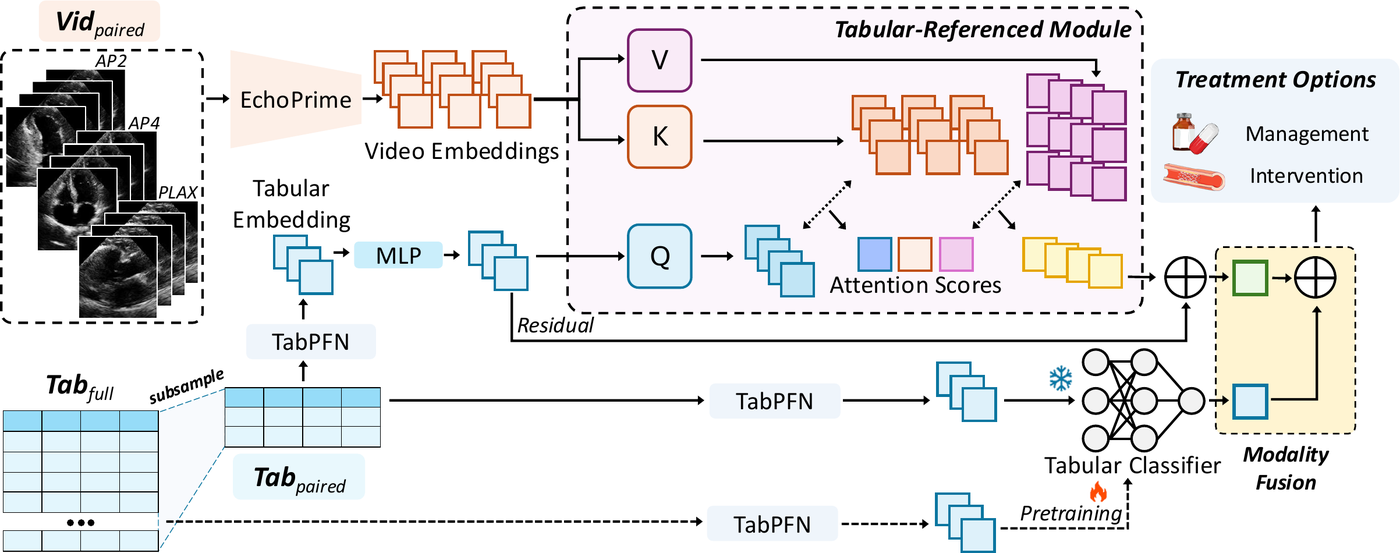 TREAT-Net architecture: echocardiography videos encoded by EchoPrime and clinical tables by TabPFN, combined through a tabular-referenced cross-attention module and late modality fusion to predict management or intervention